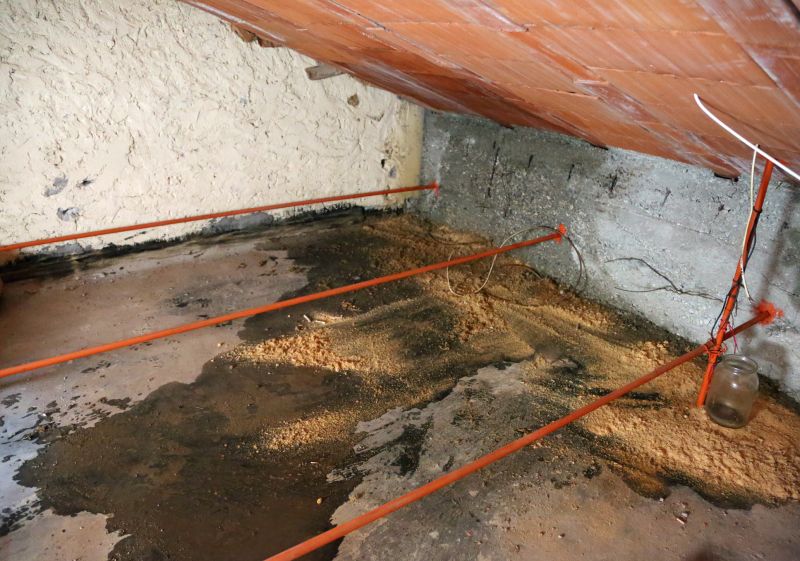 Attic Water Damage Repair in Summerville, SC