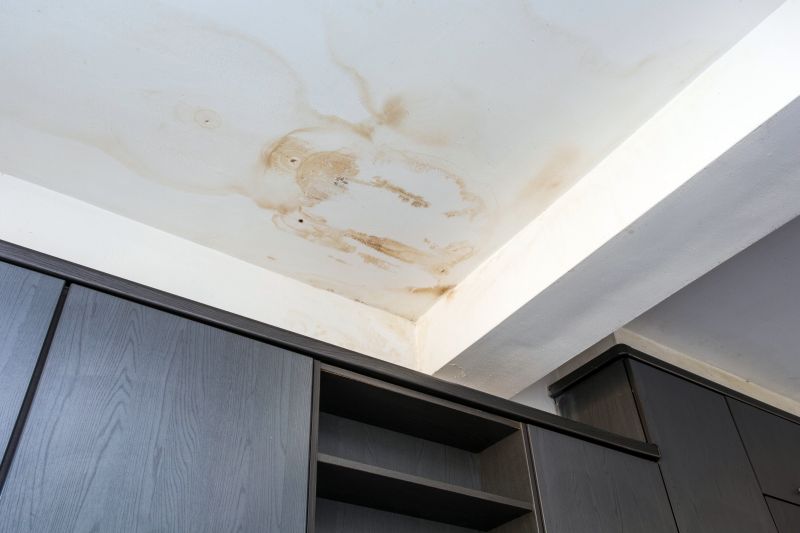 Ceiling Leak Repair Service in Summerville, SC