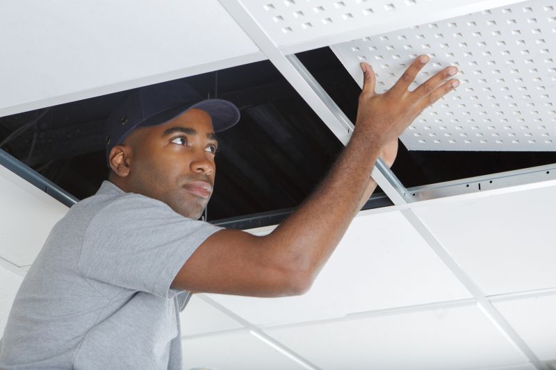 Ceiling Removal Service in Denver, CO