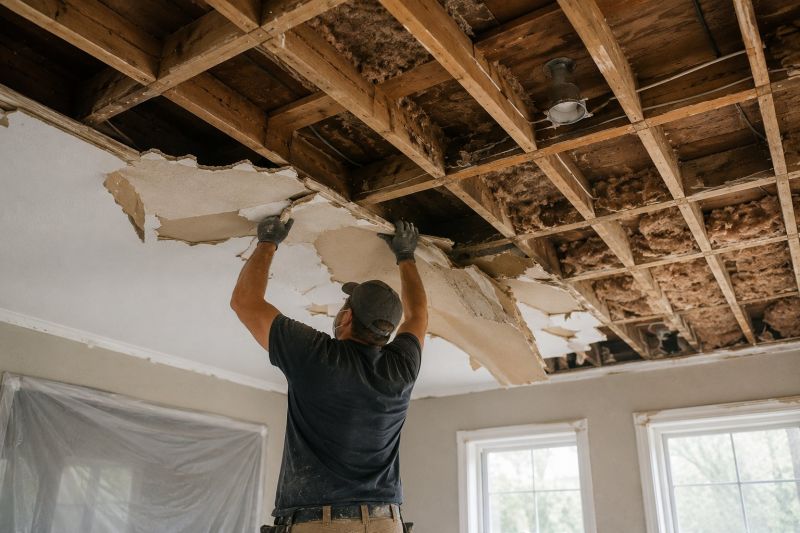 Ceiling Removal Service in Summerville, SC