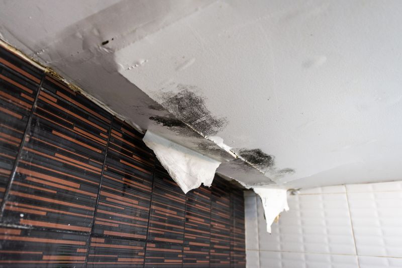 Leaking Ceiling Repair in Santa Rosa, CA